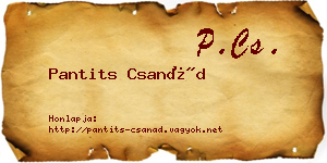 Pantits Csanád névjegykártya